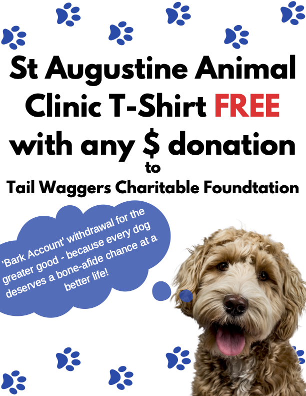 St Augustine Animal Clinic sign